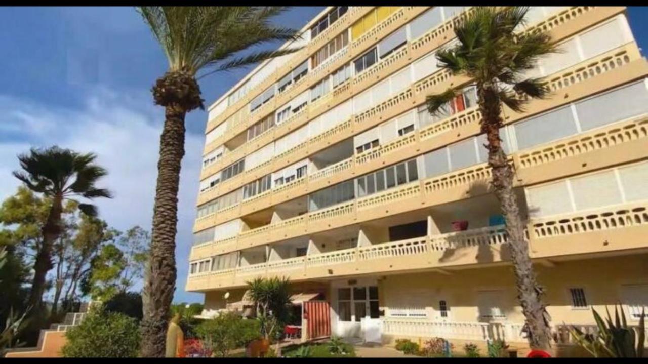 Espacioso Estudio Cerca De La Playa La Mata 拉马他 外观 照片